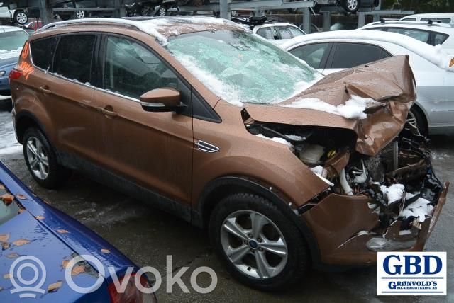 Kuga II Kuga  CV6T14B531DA