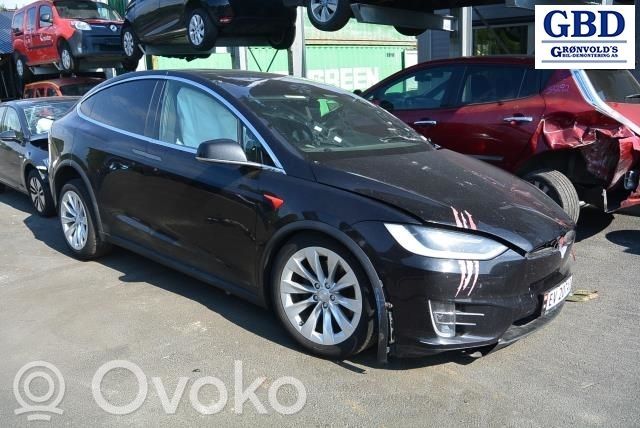 Model X Tesla Model X  105018300E