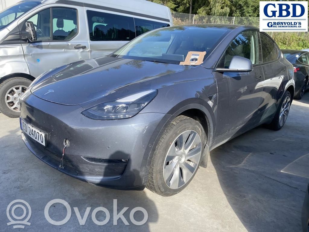 Model Y Tesla Model Y  252500201D