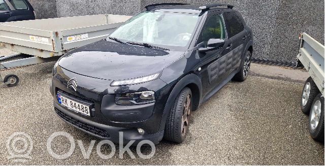 C4 Cactus C4 Picasso, Grand Picasso, Aircross, Cactus  1680935380