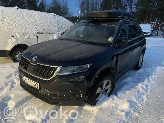 Kodiaq Kodiaq  04E100034Q