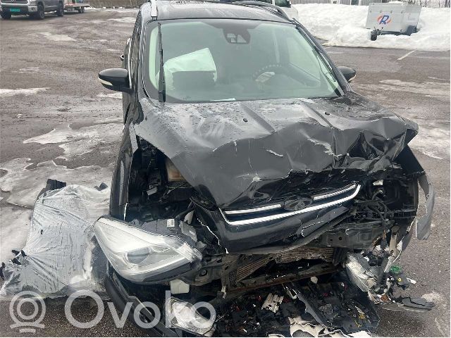 Kuga II Kuga  5110131