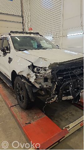 Ranger Ranger  2537455