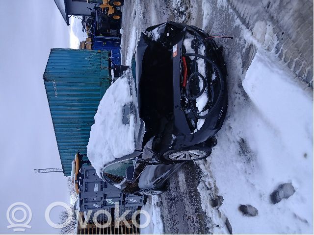 Model X Tesla Model X  100771901B