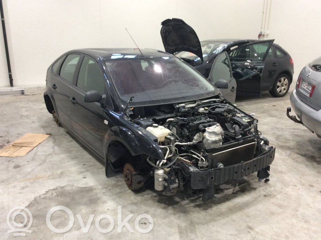 Focus Focus  4892360