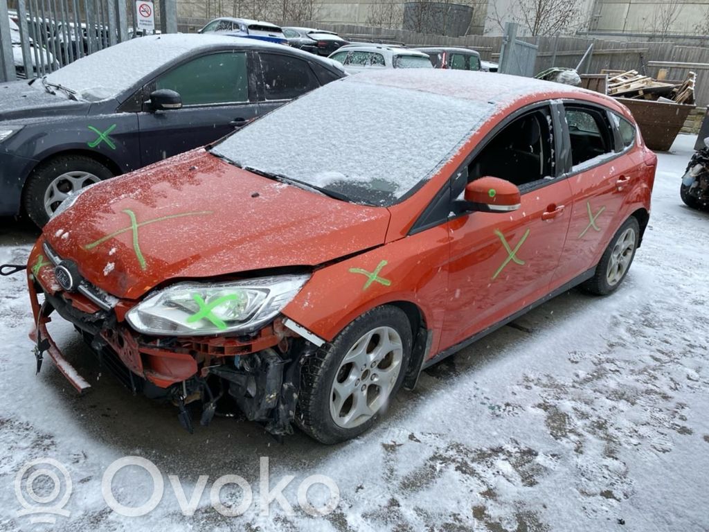 Focus Focus  1857696