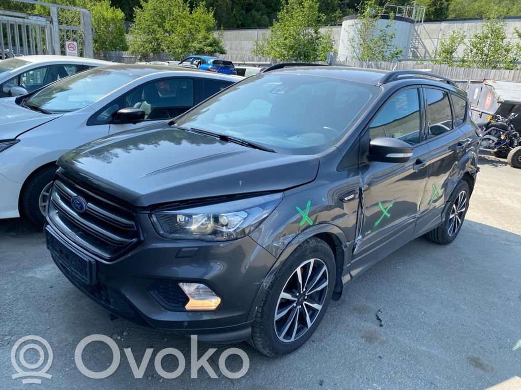 Kuga II Kuga  2037011