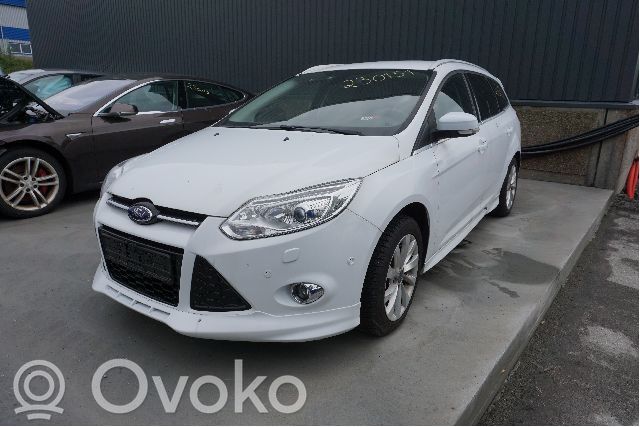 Focus Focus  1775999