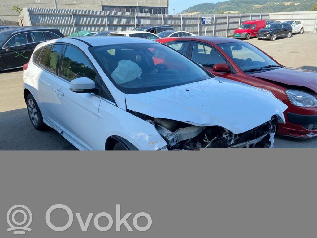 Focus Focus  1706429