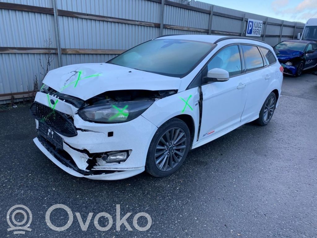 Focus Focus  1871334