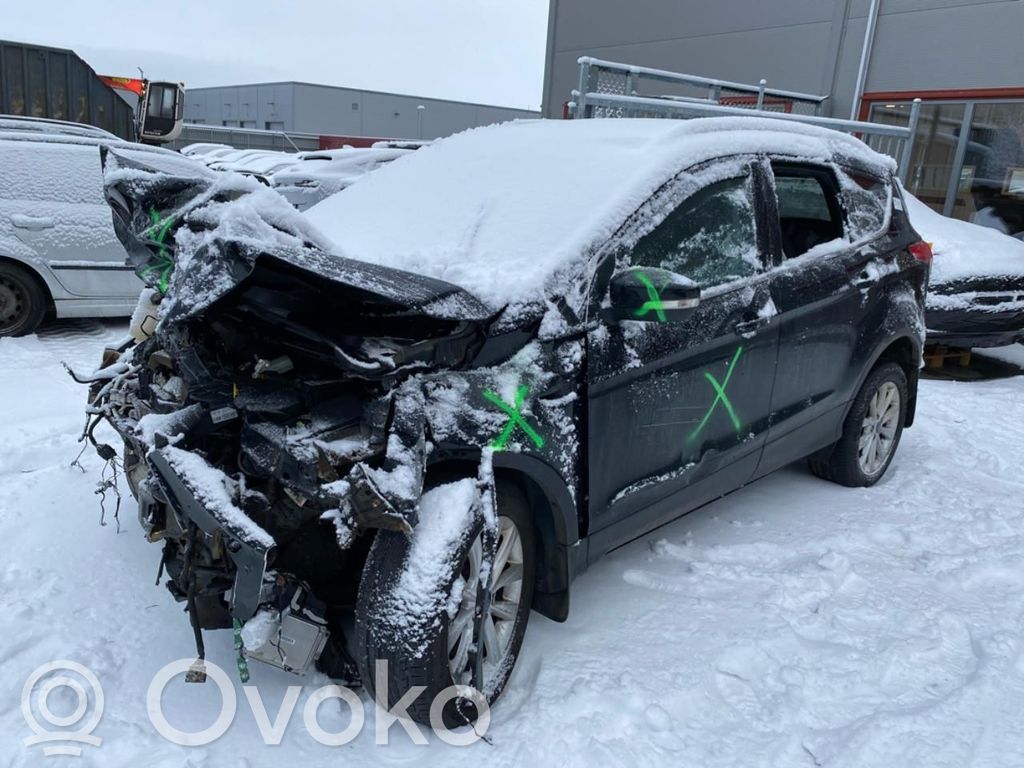 Kuga II Kuga  1845279