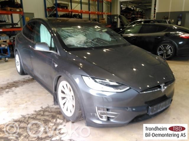 Model X Tesla Model X  102797600A