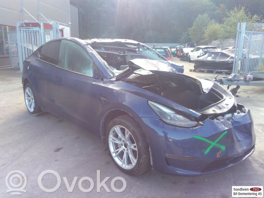 Model Y Tesla Model Y  252500113D