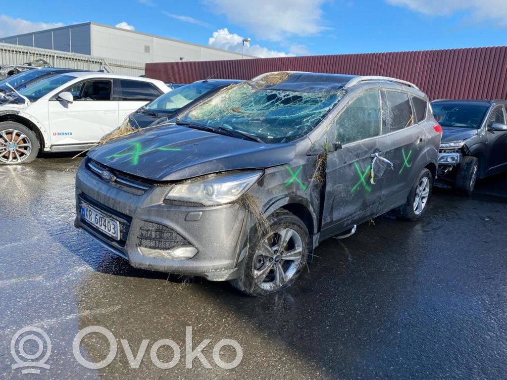 Kuga II Kuga  1854467
