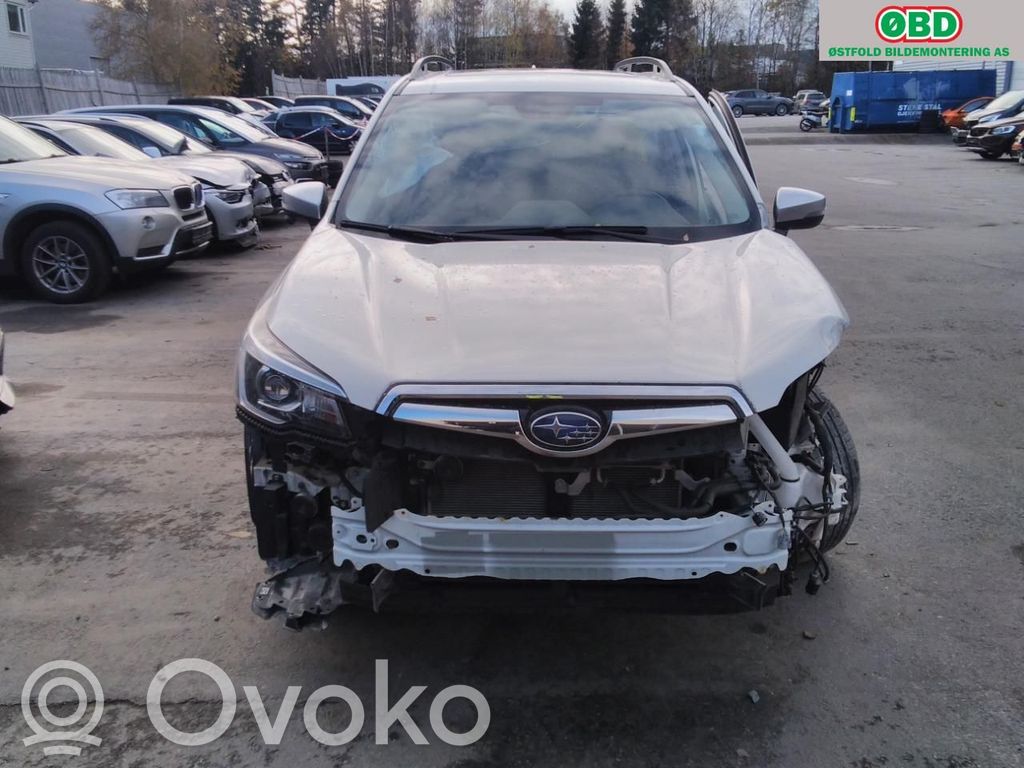Forester SK Forester