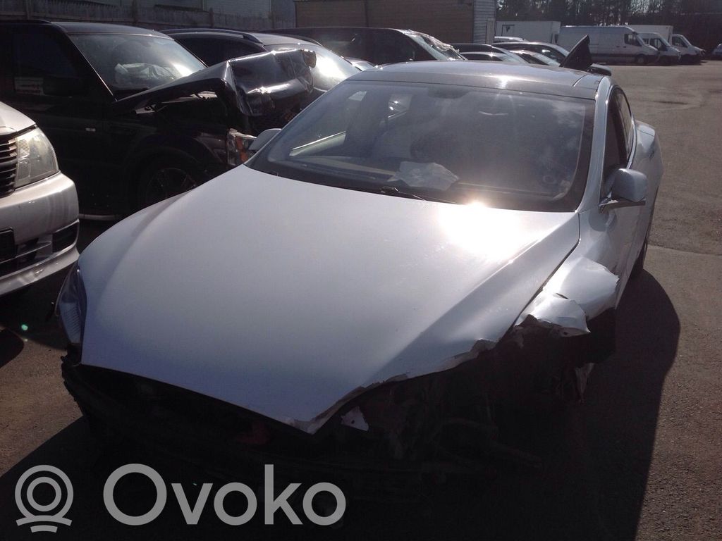 Model S Tesla Model S  100483305C