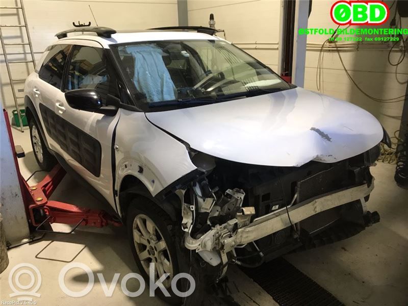 C4 Cactus C4 Picasso, Grand Picasso, Aircross, Cactus  1619251080