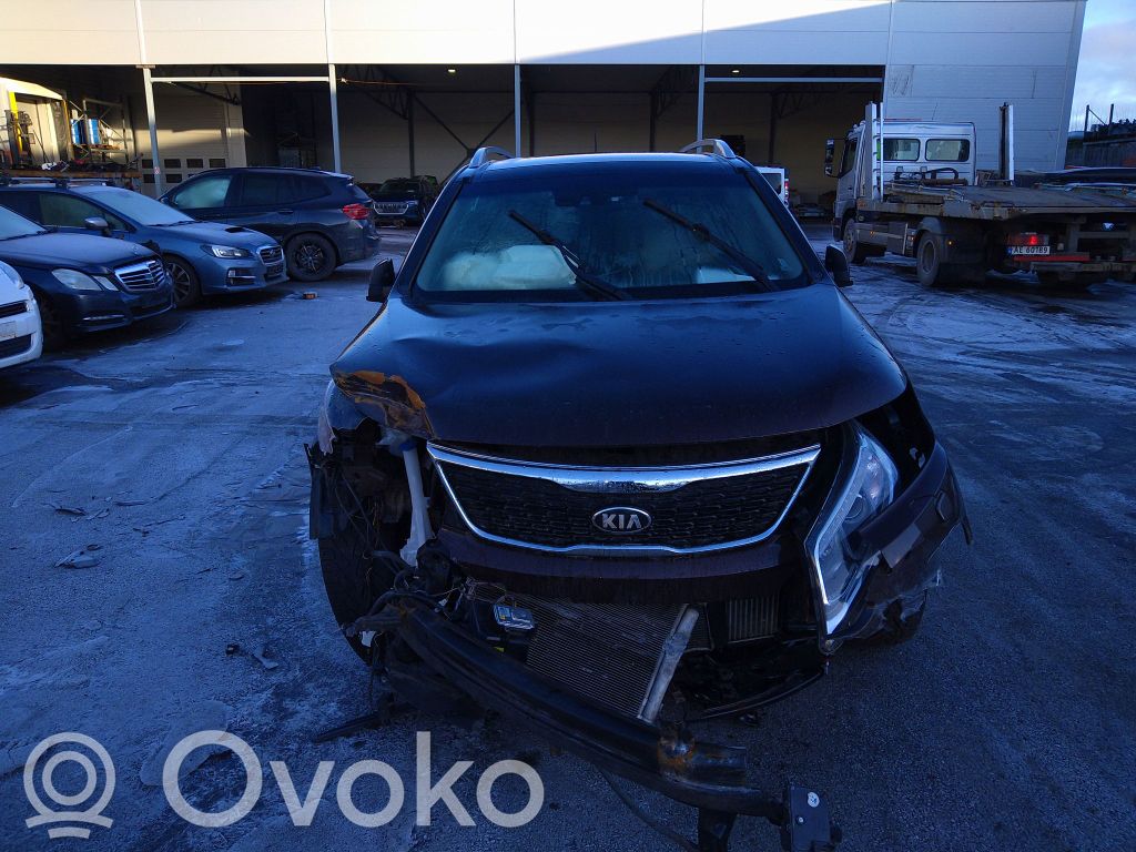 Sorento Sorento  391012F800