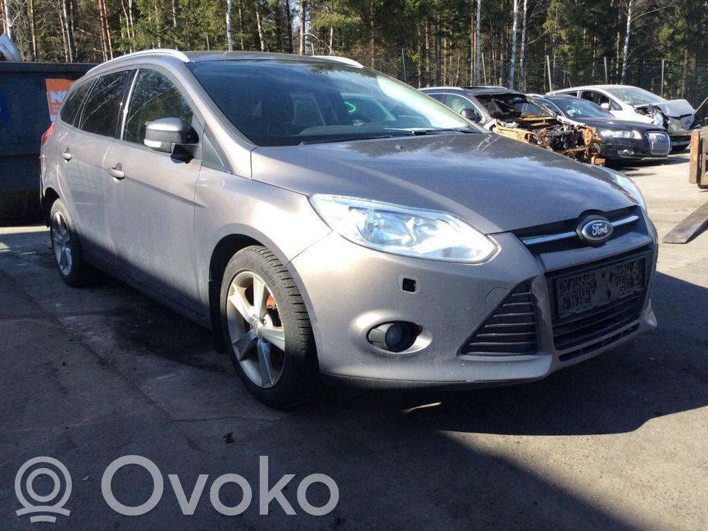 Focus Focus  1749216