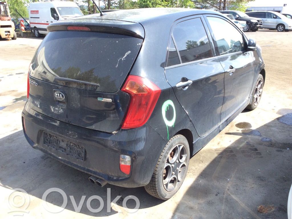 Picanto Picanto  3911104656