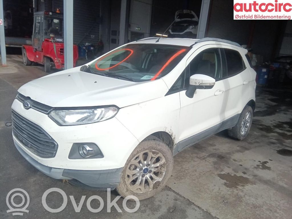 Ecosport Ecosport  2117965