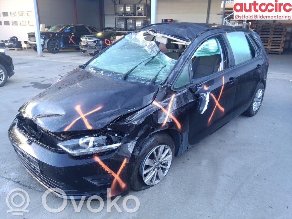 Golf Sportsvan Golf  0CW300170RX