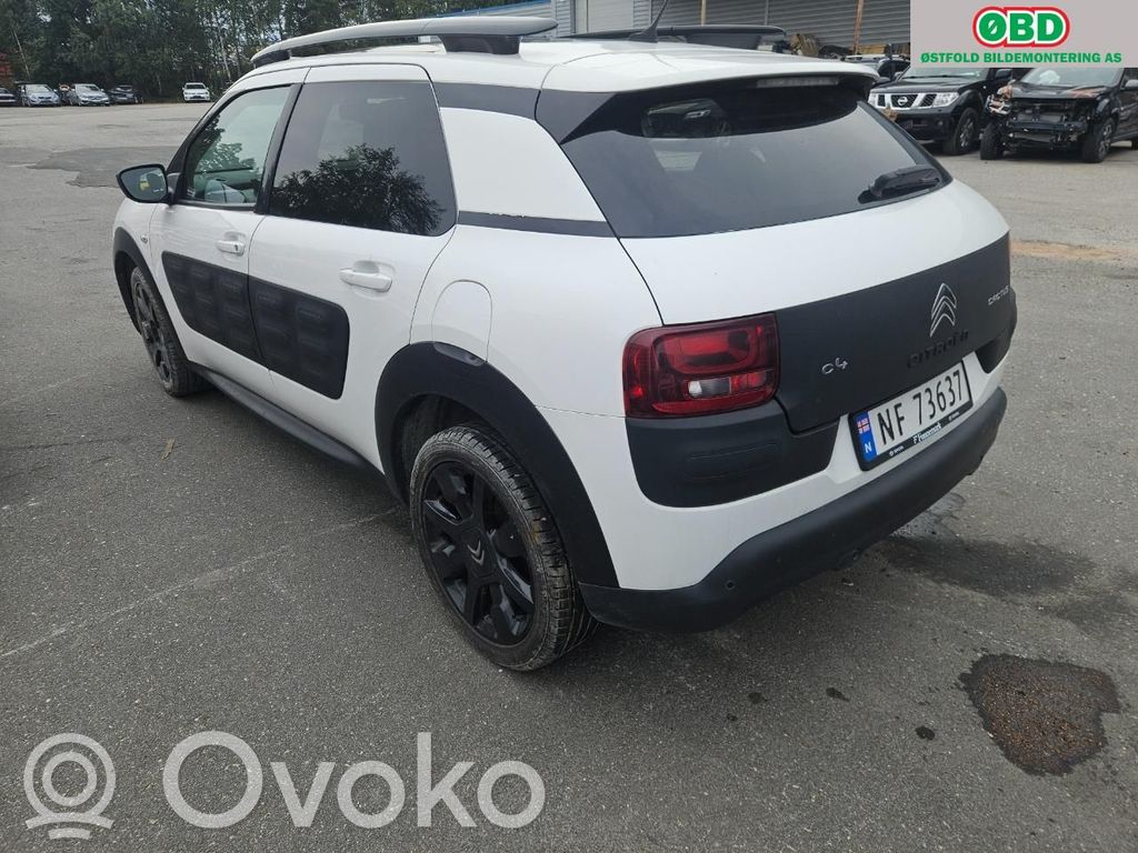 C4 Cactus C4 Picasso, Grand Picasso, Aircross, Cactus  9828105480