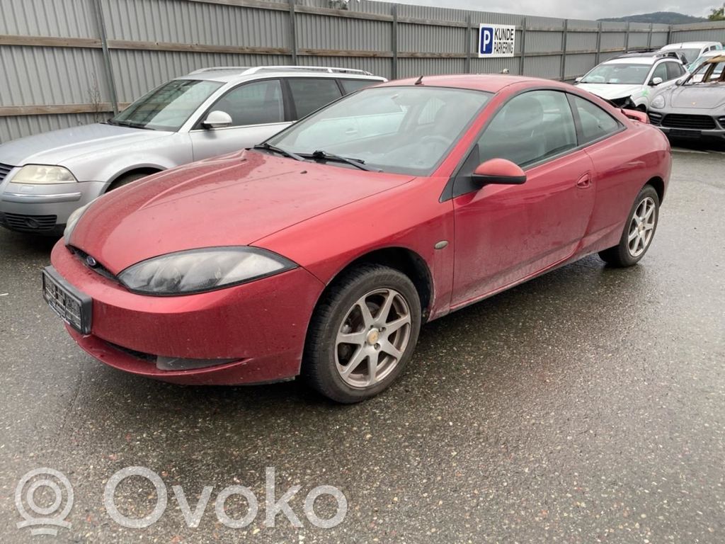 Cougar Cougar  1406092