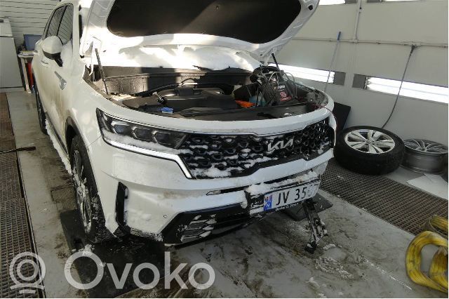 Sorento Sorento  954474G620