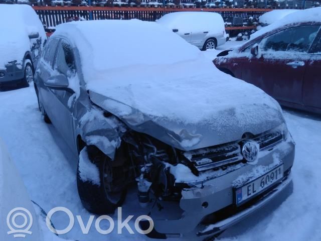 e-Golf Golf  5QE907070C