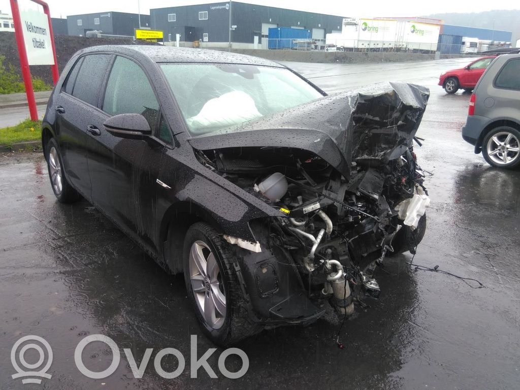 e-Golf Golf