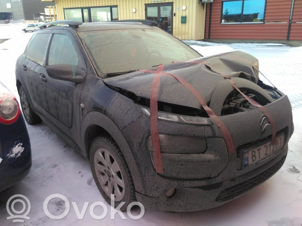 C4 Cactus C4 Picasso, Grand Picasso, Aircross, Cactus