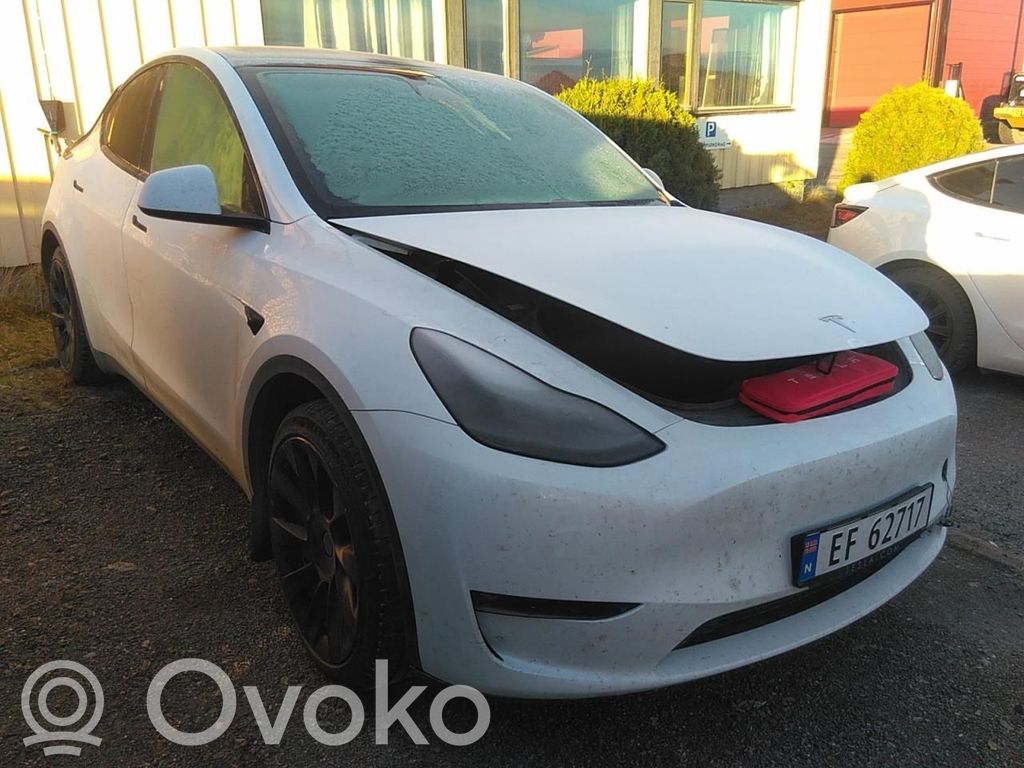 Model Y Tesla Model Y  800828200A