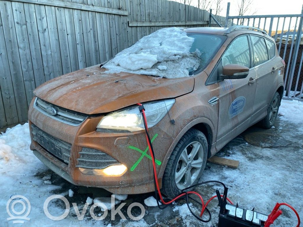 Kuga II Kuga  2026899