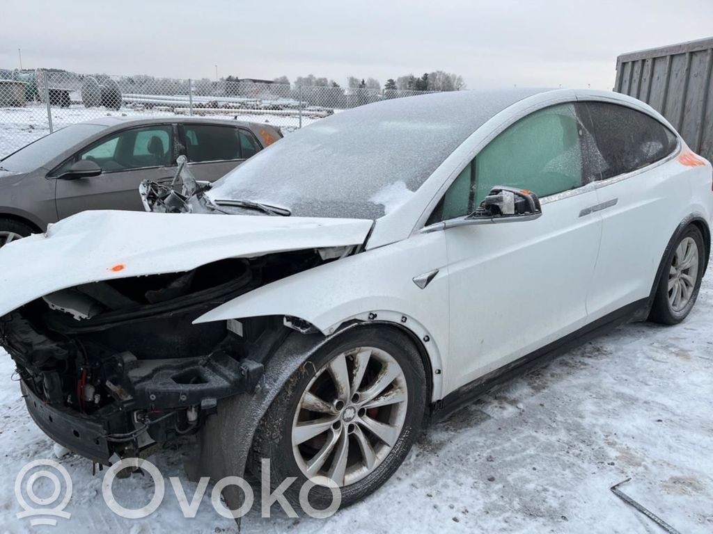 Model X Tesla Model X  100771901B