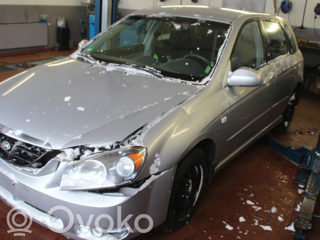 Cerato Cerato  40917