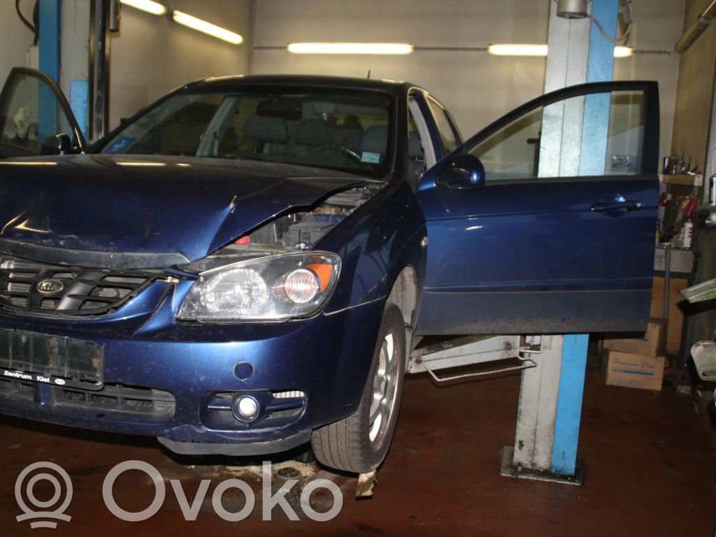 Cerato Cerato  581102F500