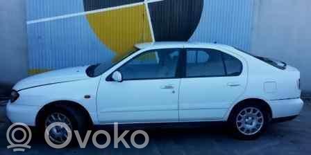 Primera Primera  89006454