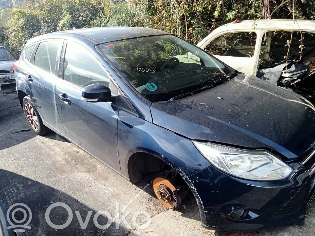 Focus Focus  2139809