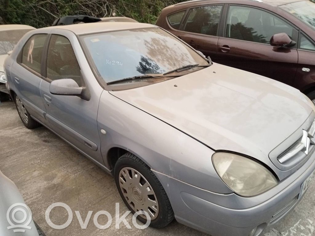 Xsara Xsara, Xsara Picasso
