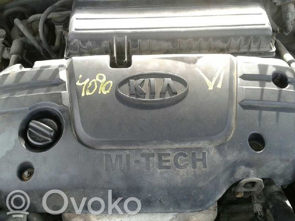Rio Rio  5WY1308D