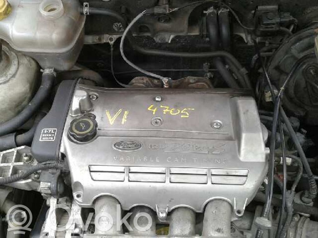 Puma Puma  96FB8005LB