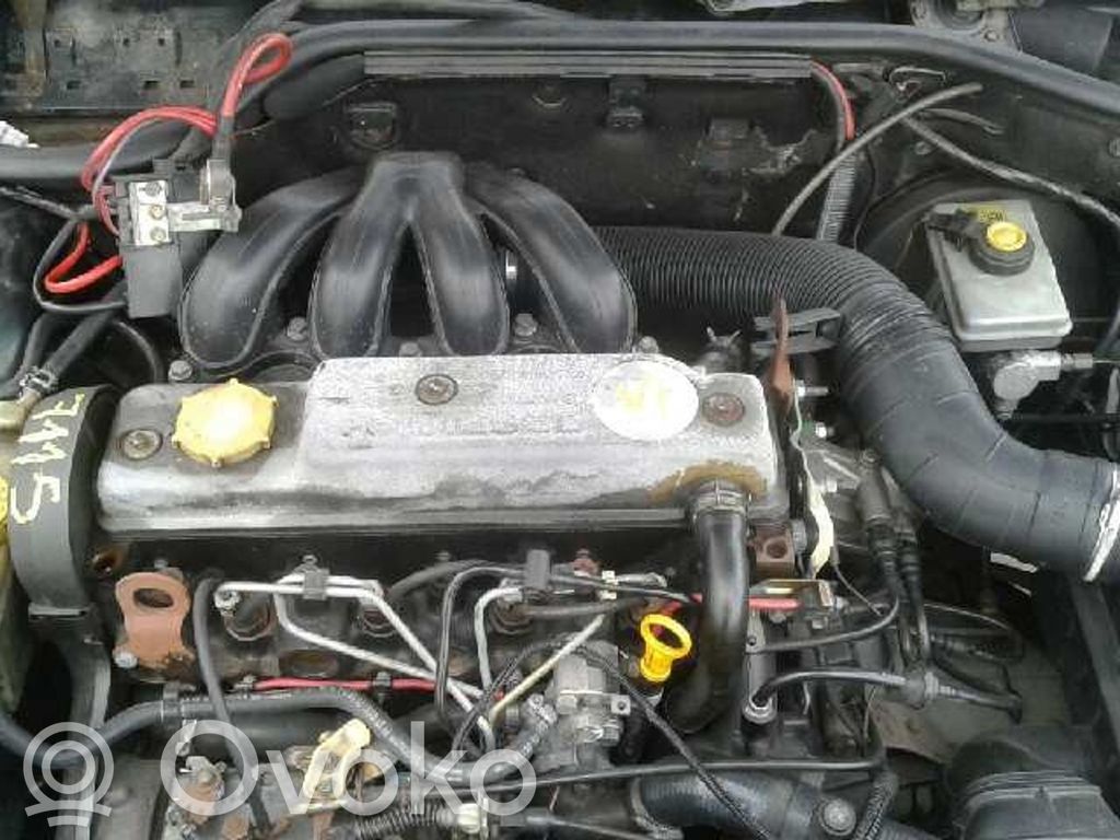 Escort Escort  91FF10300JA