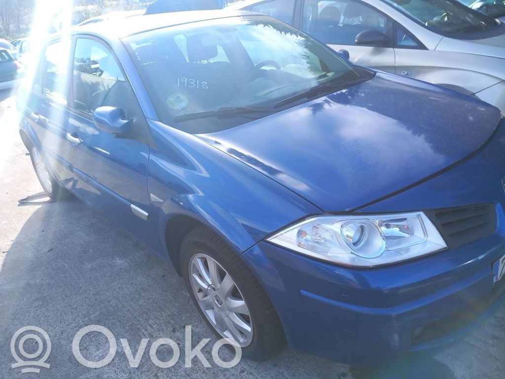 Megane II Megane  0124425018
