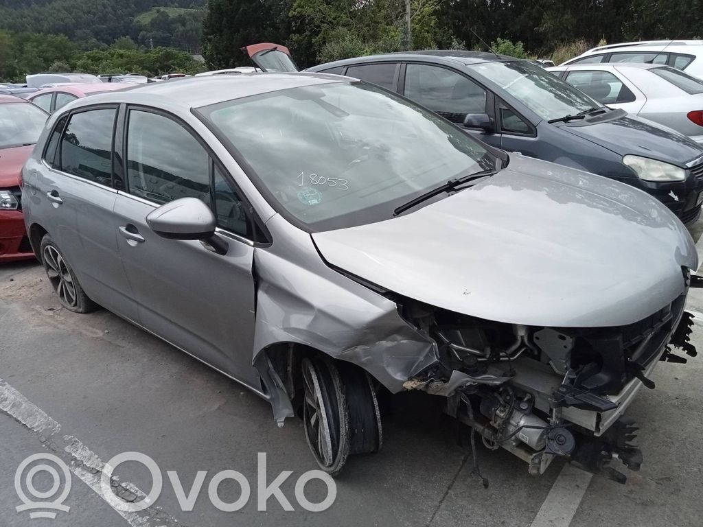 C4 Cactus C4 Picasso, Grand Picasso, Aircross, Cactus  9677024980