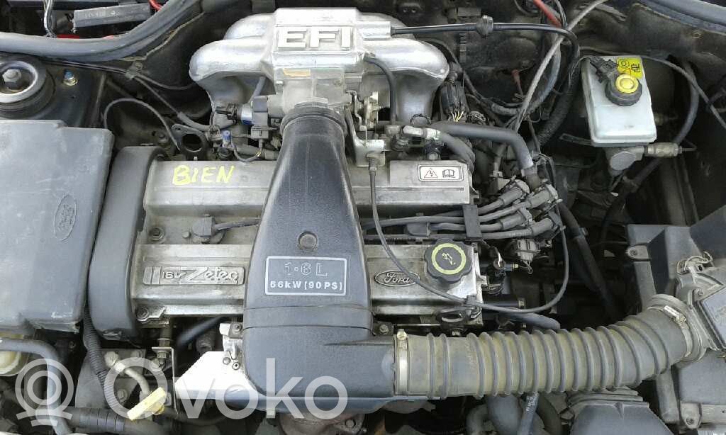 Escort Escort  95BF9B989