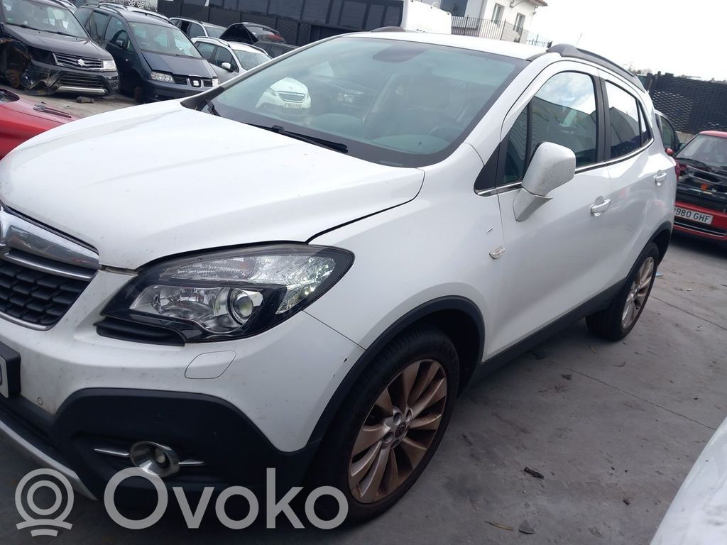 Mokka Mokka  13579675