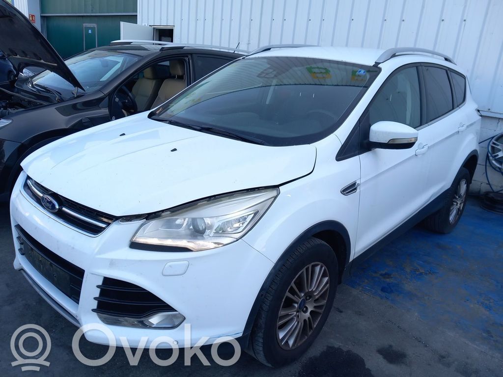 Kuga II Kuga  5230401