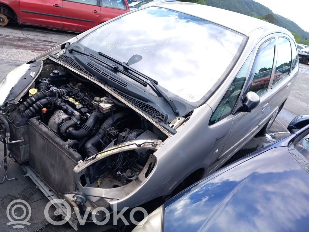 Xsara Xsara, Xsara Picasso