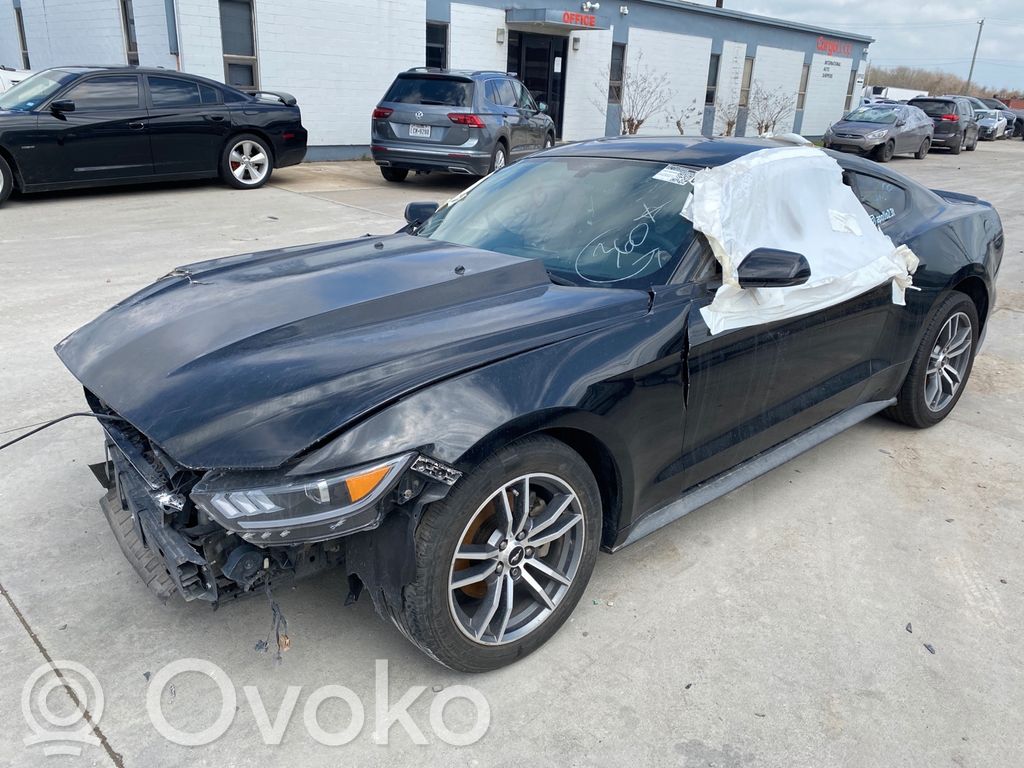 Mustang VI Mustang  FR334K145AH